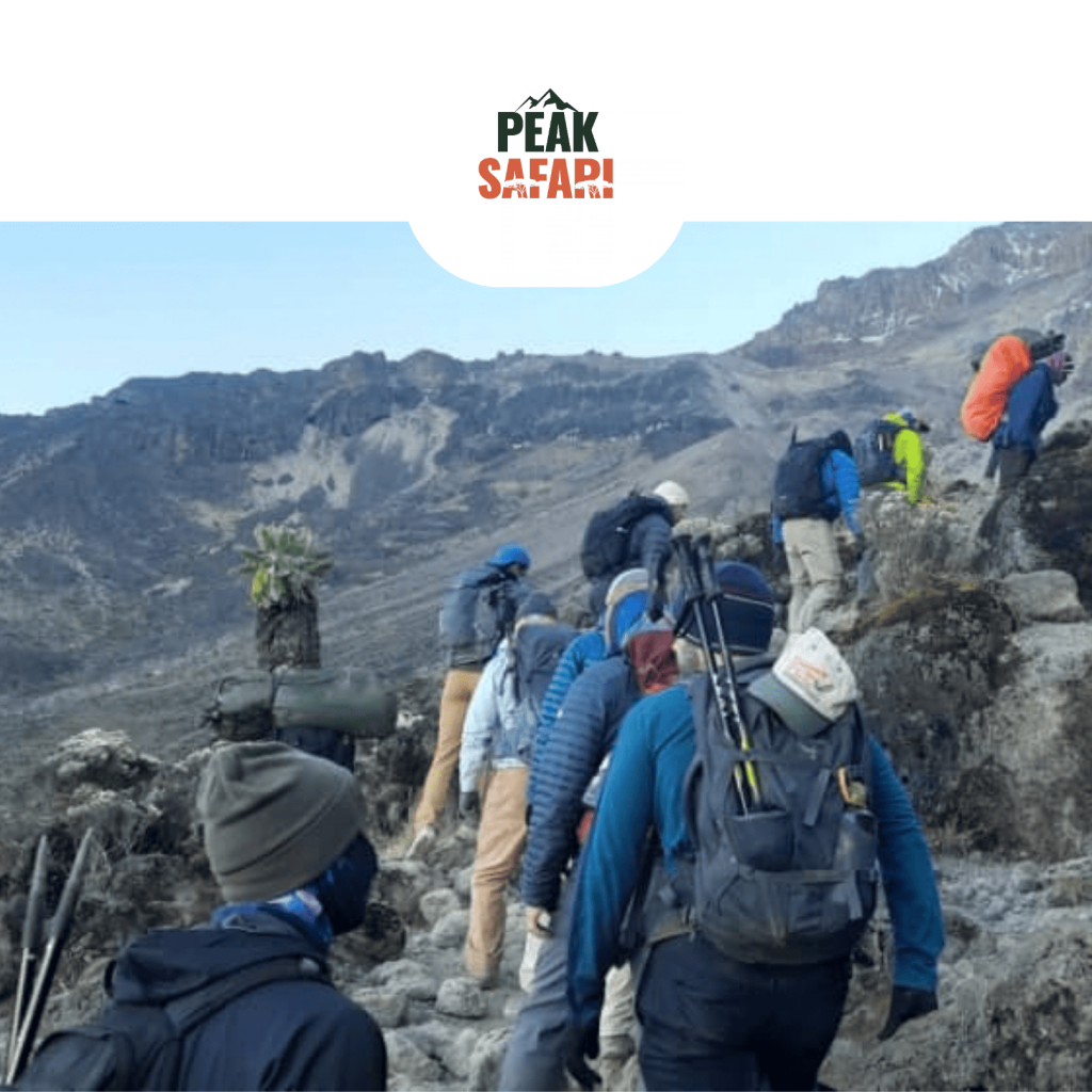 Machame Route – 7 Days / 6 Nights