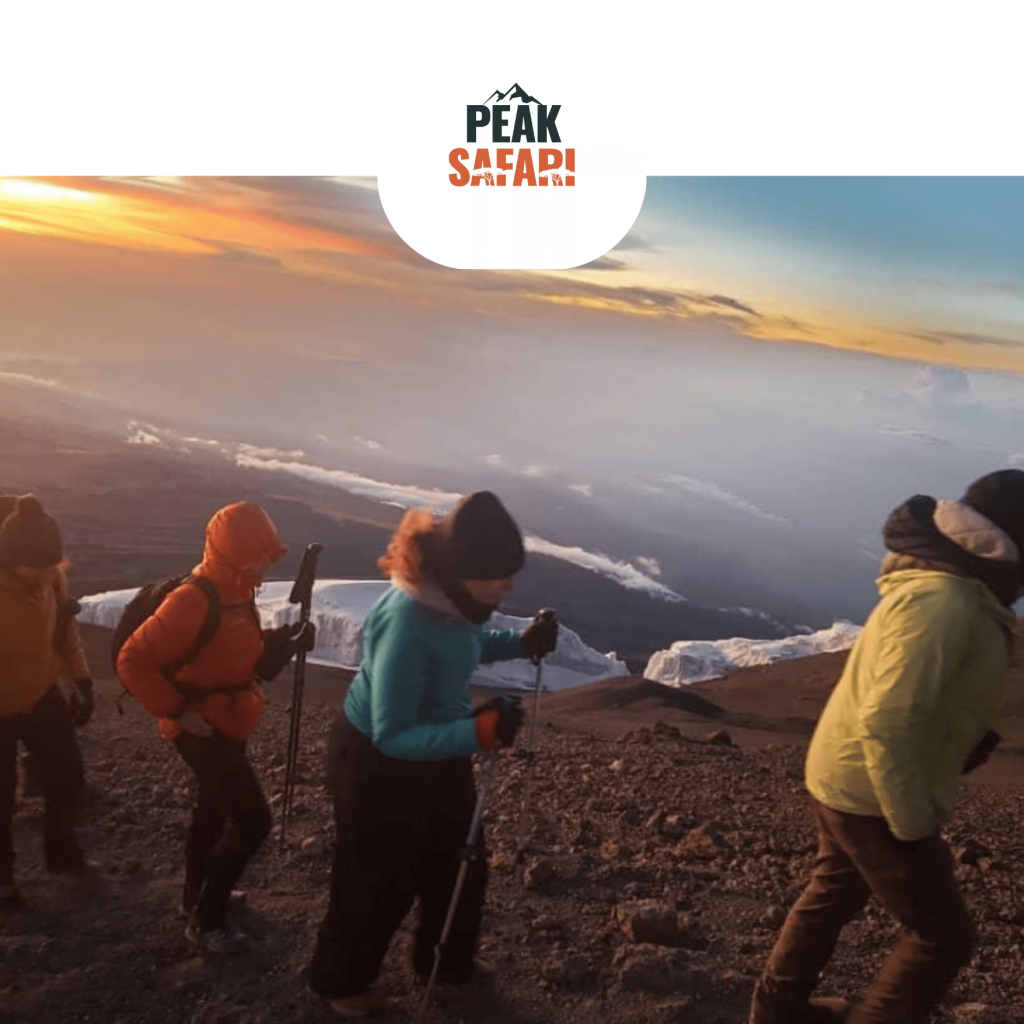 Lemosho Route – 8 Days / 7 Nights